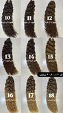 دم اسبی روبانی فر